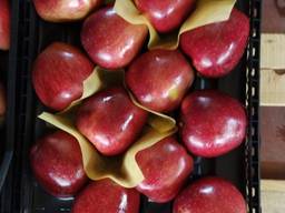 Яблоко свежее Турция