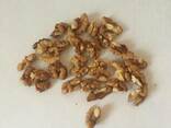 Ядро грецкого ореха / Walnut kernels